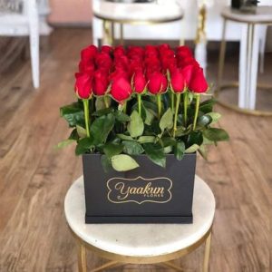 Arranged with 20 Red Roses, Baby Breath and Leaves Breath in a Box
