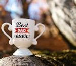 Celebrate Father's Day with this charming Best Dad Ever mug trophy in a natural setting.